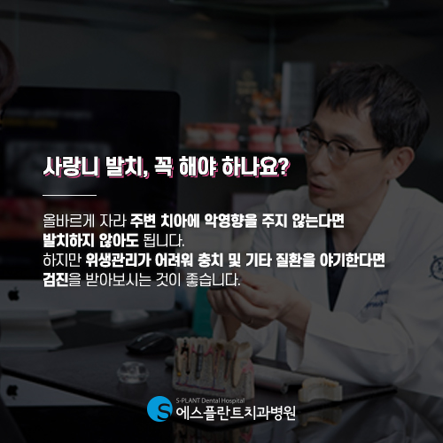 이름만 예쁜 사랑니, 꼭 빼야할까요? [에스플란트 치과병원] 관련 이미지 3