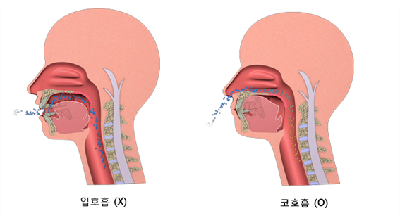 &lsquo;입으로 숨 쉬지 말고 코로 숨 쉬어라&rsquo; 도대체 왜? [에스플란트 치과병원] 관련 이미지 2