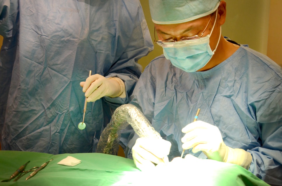 전악 임플란트 잘하는 압구정 치과 [에스플란트 치과병원] 관련 이미지 6