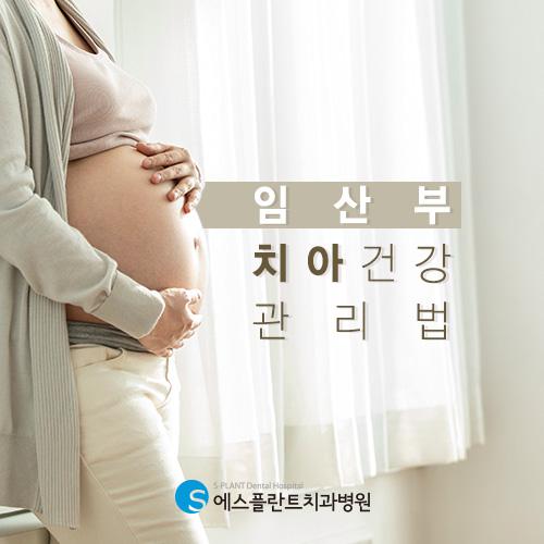 임신중 구강관리와 치과치료 적절한시기 관련 이미지 1
