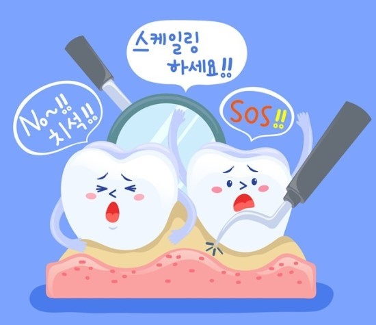 [스케일링 효과] 염증도 치료하고 구취도 줄일 수 있어 구강위생관리에 최고!! 관련 이미지 1