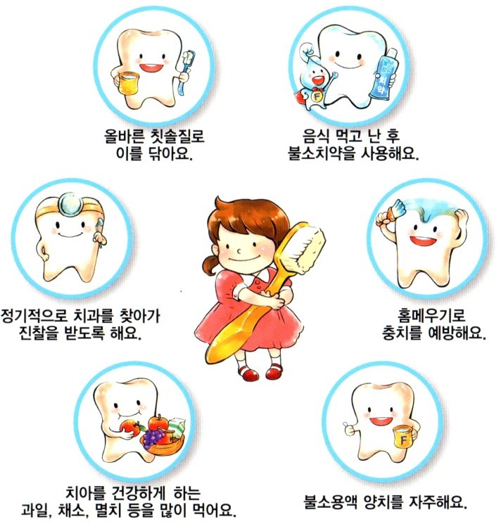 에스플란트치과병원과 함께 알아보는 “알고 나면 재미있는 치아상식” 관련 이미지 10