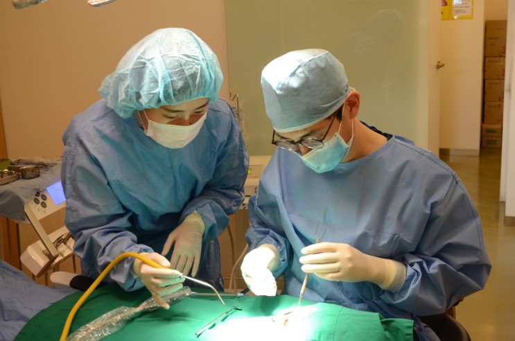 임플란트 가격이 부담스럽다고요? 임플란트 치아 건강보험 혜택을 확 인해보세요! 관련 이미지 3