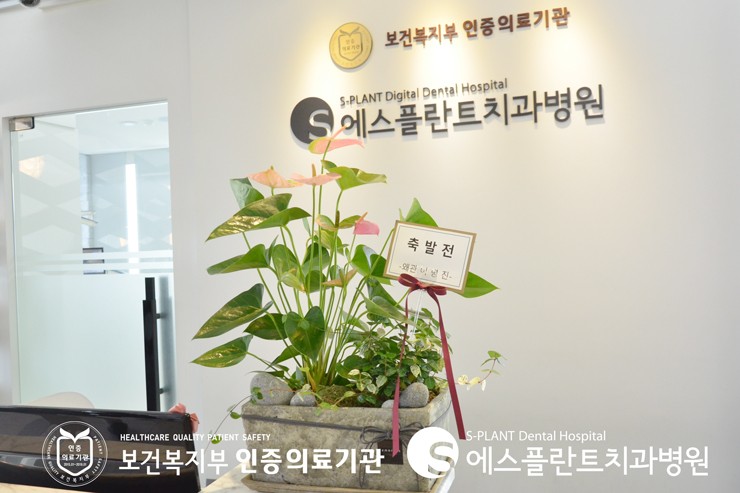 [학동사거리 임플란트잘하는치과] 백상현 원장님께 가을의 향기가 느껴 지는 예쁜 선물이 도착했어요! 관련 이미지 1