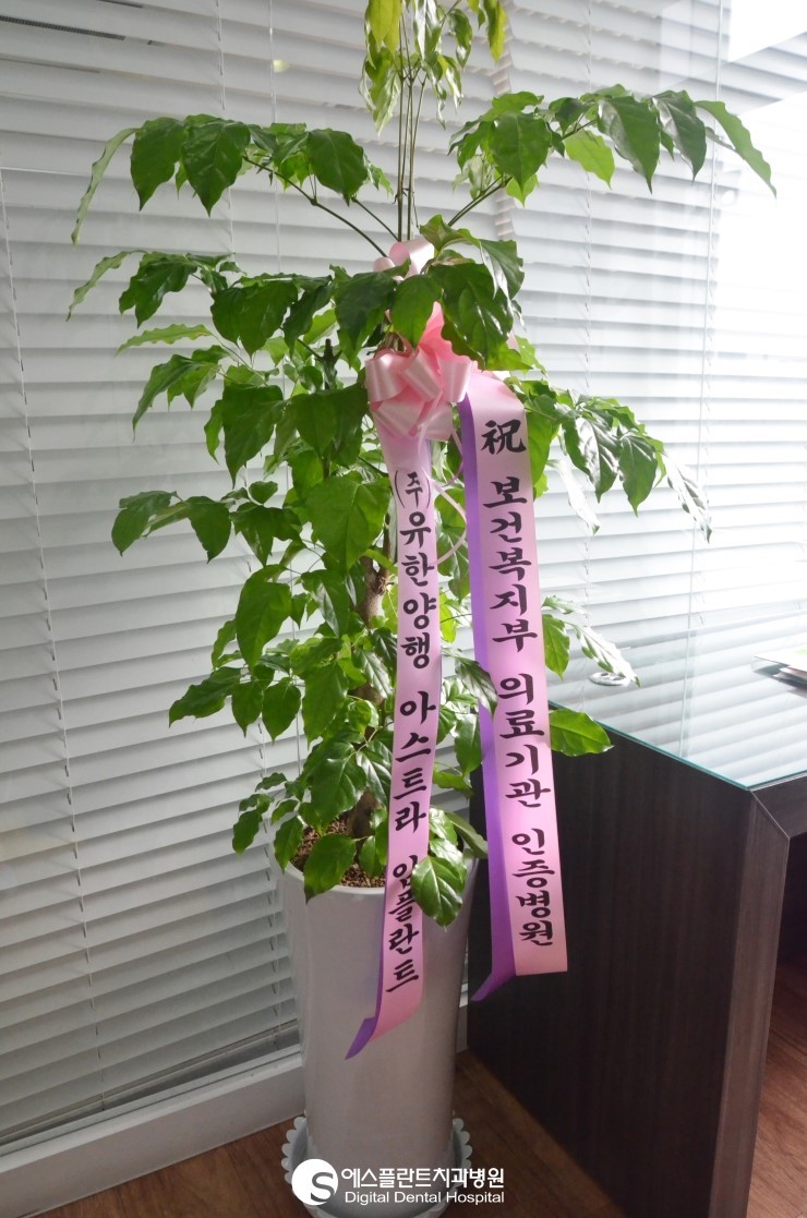 [보건복지부 인증의료기관] 에스플란트치과병원 의료기관 인증 획득을 축하드립니다! 관련 이미지 2