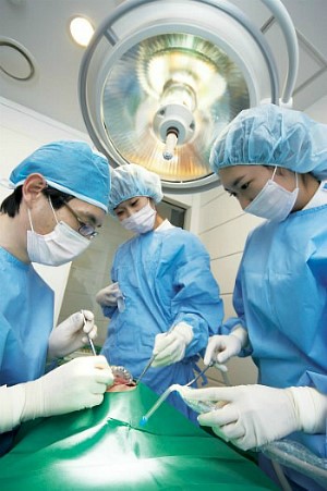 추석음식 맛있게 먹으려면? 관련 이미지 9