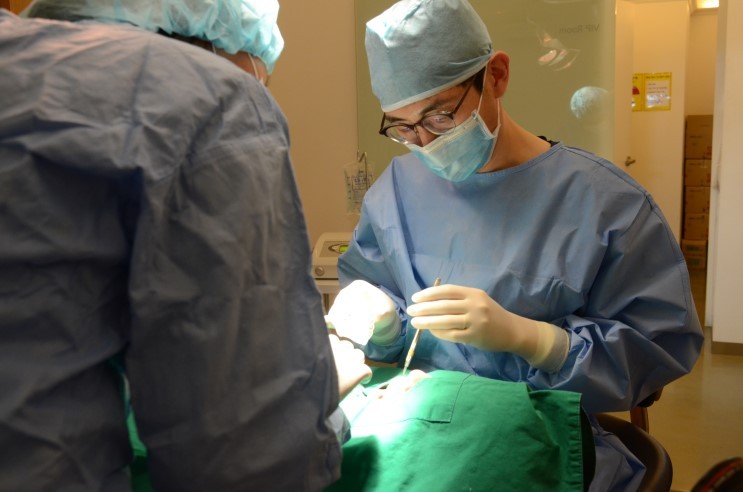 임플란트 가격이 부담스럽다고요? 임플란트 치아 건강보험 혜택을 확 인해보세요! 관련 이미지 2