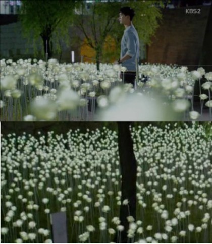 [서울 가볼 만한 곳] 프로듀사 촬영지 LED 장미로 유명한 동대문 DDP 장미정원에 다녀왔어요! 관련 이미지 3
