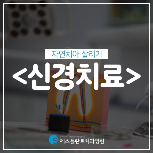 신경치료로 자연치아 살릴 수 있어요. 관련 이미지 1