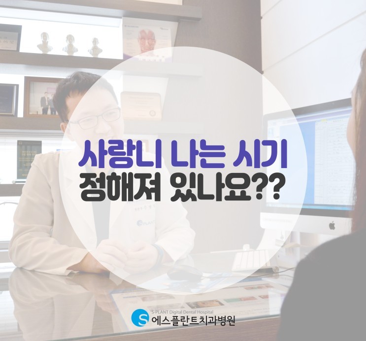 “사랑니 나는 시기 정해져 있나요?” 사랑니와 관련된 다양한 이야기 관련 이미지 1