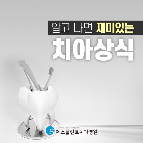 에스플란트치과병원과 함께 알아보는 “알고 나면 재미있는 치아상식” 관련 이미지 1