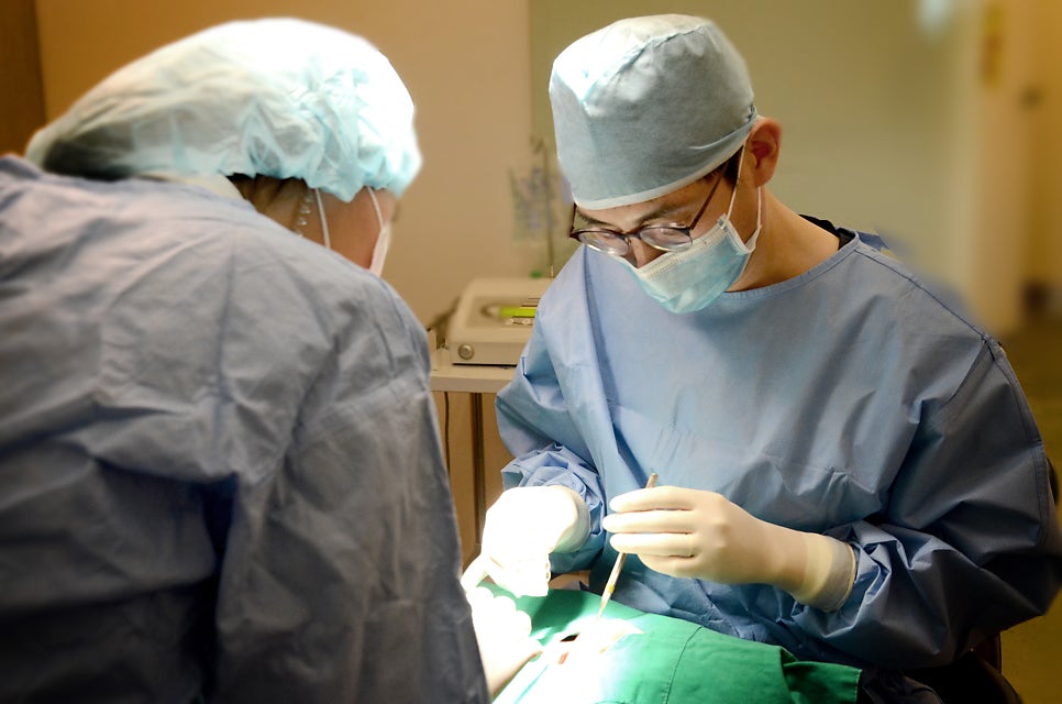 20대 젊은 임플란트 환자가 늘어나는 이유는? [에스플란트 치과병원] 관련 이미지 5