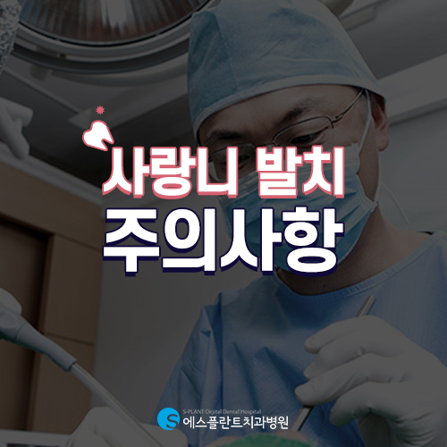 사랑니 발치, 첨단 장비를 통해 정교하고 섬세하게 [에스플란트 치과병원] 관련 이미지 4