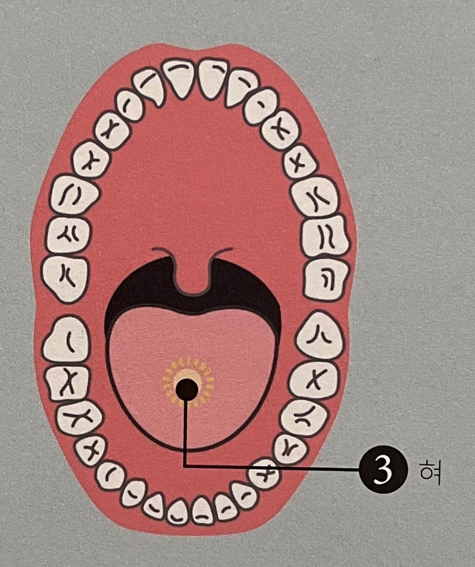 건강한 잇몸이 코로나 감염 및 합병증을 줄일 수 있다. [에스플란트 치과병원] 관련 이미지 6