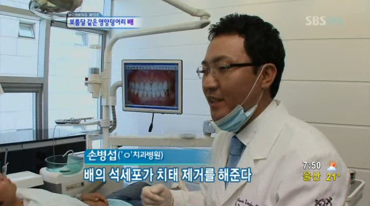 에스플란트치과병원과 함께 알아보는 치석 제거에 좋은음식 BEST10 관련 이미지 1
