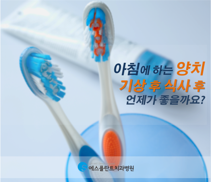 아침 양치, 기상 후? 식사 후? 언제가 좋을까요? 관련 이미지 1