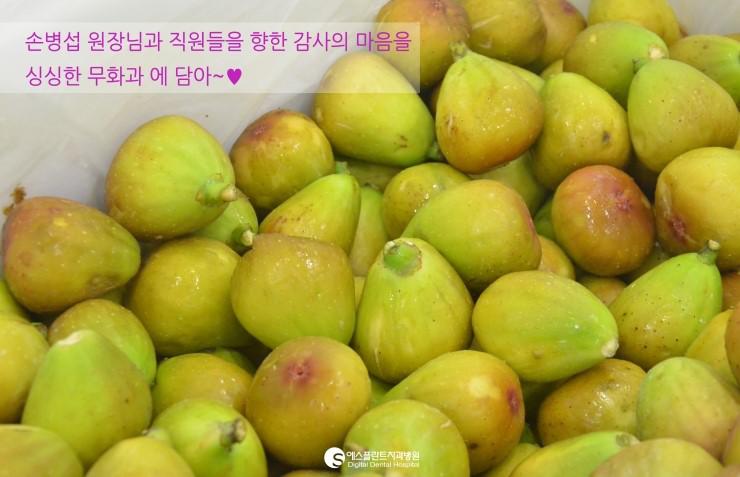 에스플란트치과병원손병섭원장님께싱싱한무화과한박스가도착했 어요~:) 관련 이미지 1