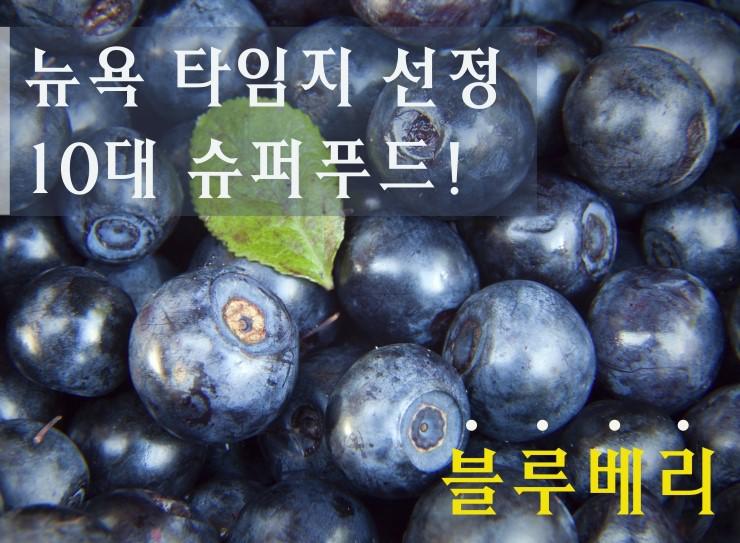 [블루베리효능]무더운여름건강하게시원해지자! 관련 이미지 1