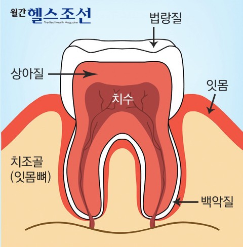 [미백치약] 미백치약, 희고 깨끗한 치아의 꿈 치약으로 가능할까? 관련 이미지 1