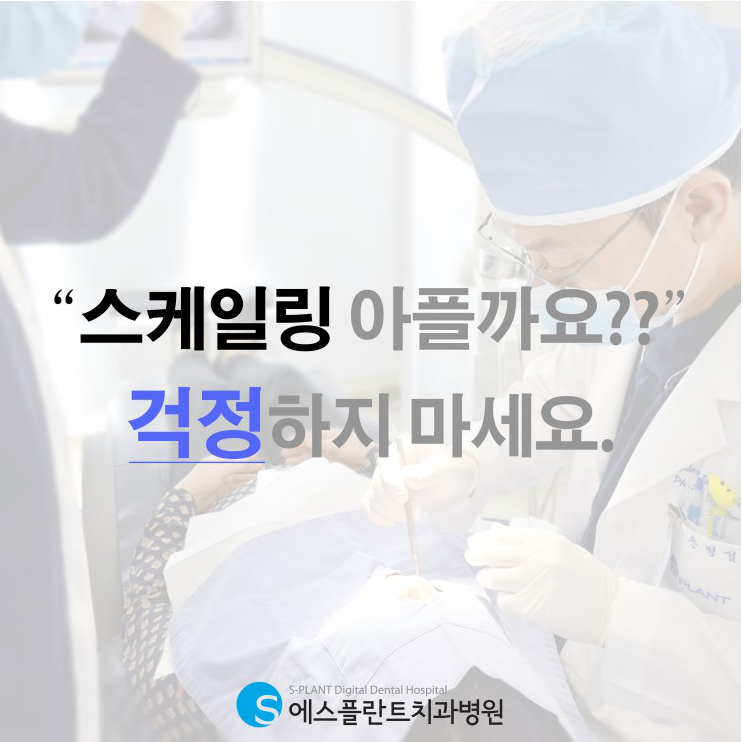 스케일링 아픈가요? 에스플란트치과병원 관련 이미지 1