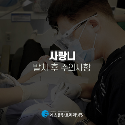 사랑니 발치도 세심하게 진행하는 에스플란트 치과병원 관련 이미지 6