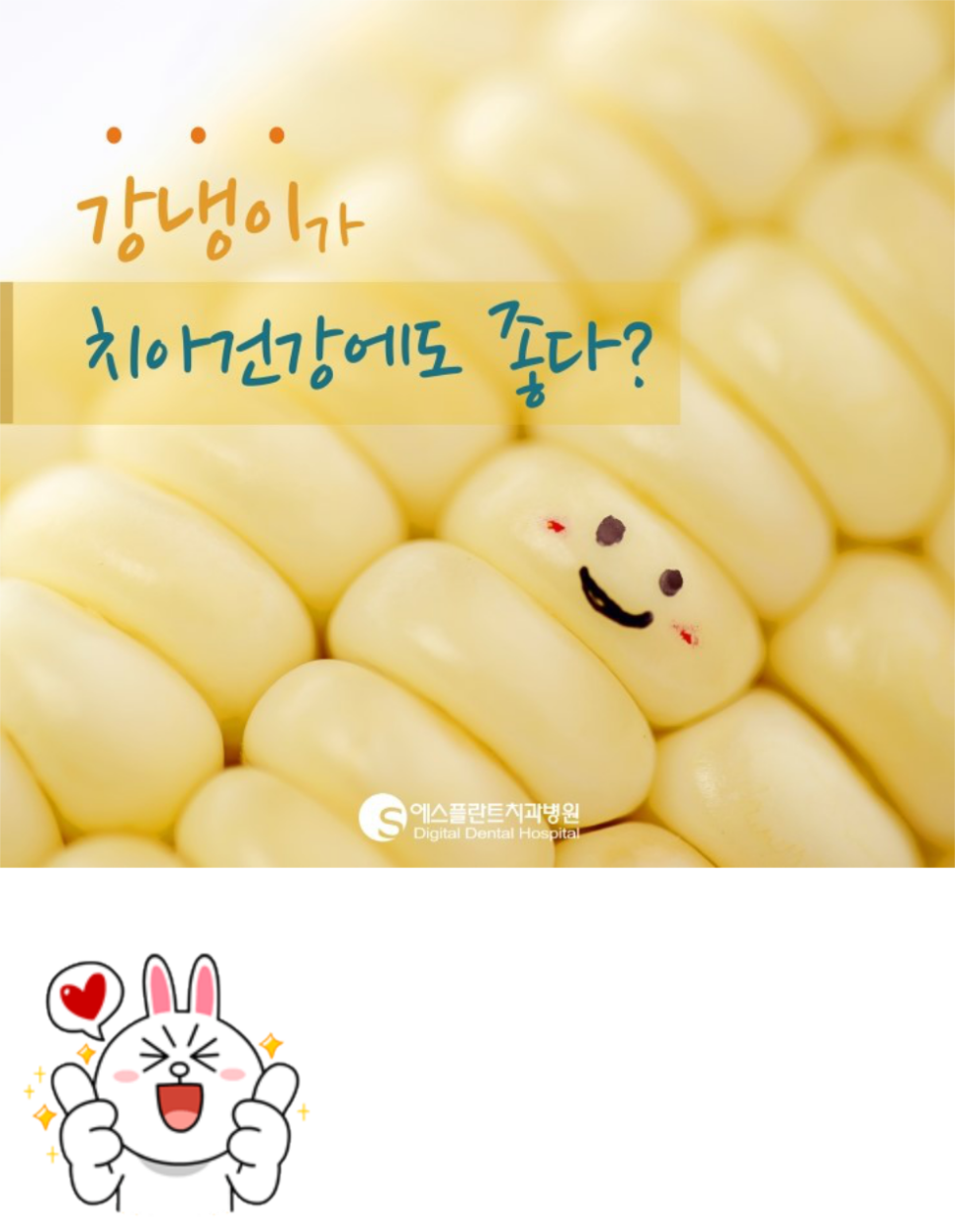 [옥수수치아]에스플란트치과병원치아건강상식,옥수수가치아건강에 도좋다? 관련 이미지 1