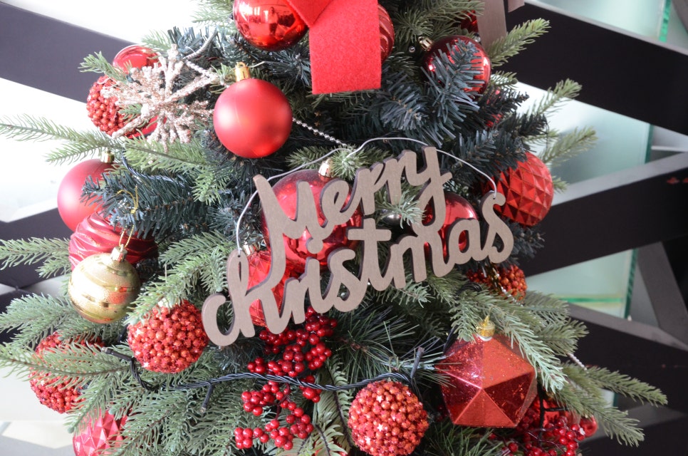2022년 에스플란트 치과병원 마지막 월례조회 관련 이미지 1