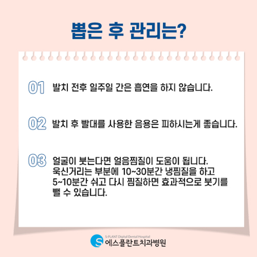 사랑니, 무조건 뽑아야 할까요? <에스플란트치과병원> 관련 이미지 5