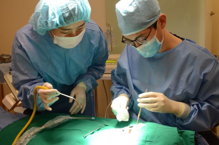 인공치아 잘못 심으면 염증이 난다고요?   에스플란트치과병원 관련 이미지 5
