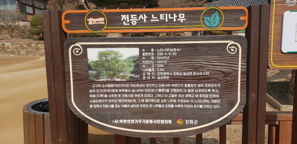 발톱무좀과 내향성발톱의 동반 2(&강화도전등사) 관련 이미지 10
