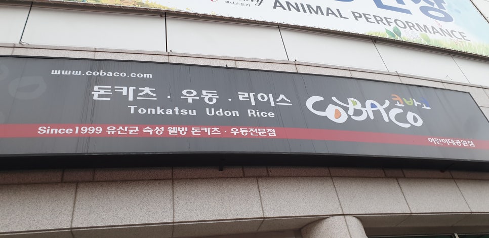 손톱 흑색종과 흑색선 15(&어린이대공원) 관련 이미지 27