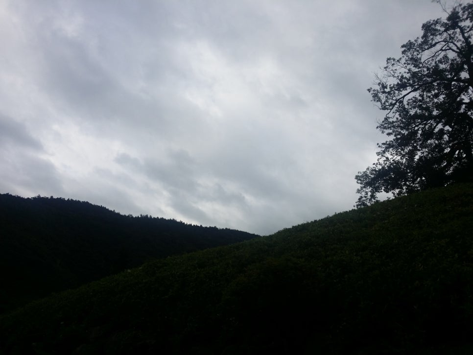 손톱발톱의 각질증식증(발톱무좀,내성발톱) 관련 이미지 10