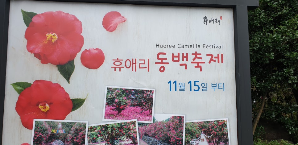 손발톱흑색선과 흑색종19(&휴애리) 관련 이미지 19
