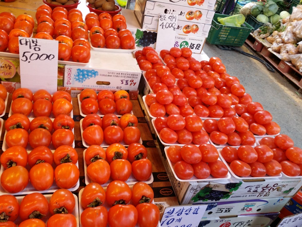 손톱 박리증(발톱무좀,내성발톱,손톱흑색종) 관련 이미지 4