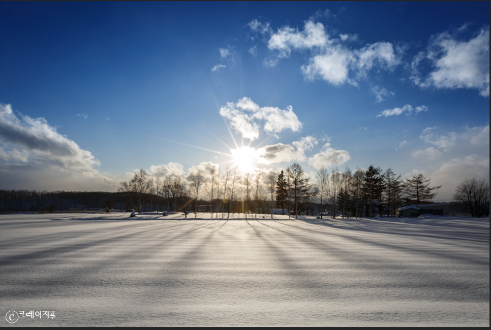 손톱 박리증(발톱무좀,내성발톱,손톱흑색종) 관련 이미지 3