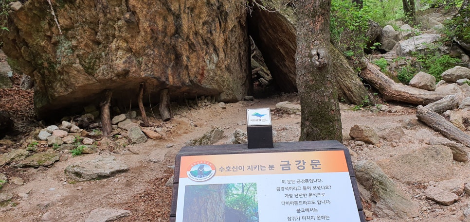 발톱무좀과 내성발톱23(&봄설악동해안) 관련 이미지 19