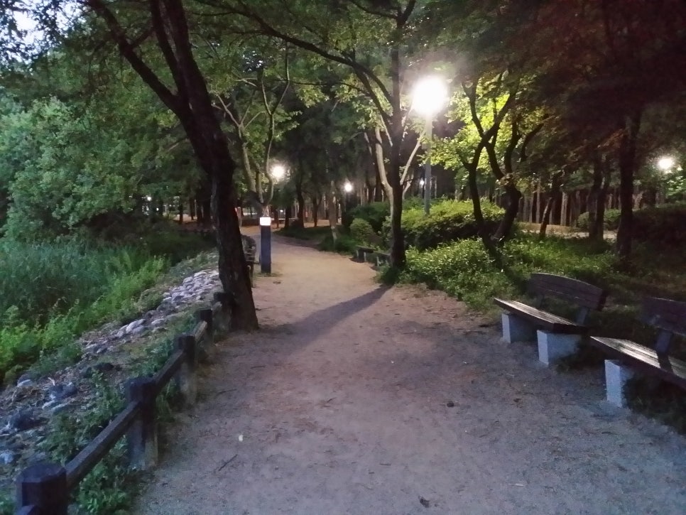 발톱무좀과 내향성 발톱의 동반 7(&길) 관련 이미지 14