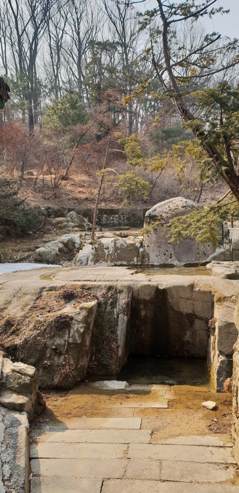 손톱 흑색종과 흑색선4(&창경궁비원) 관련 이미지 20