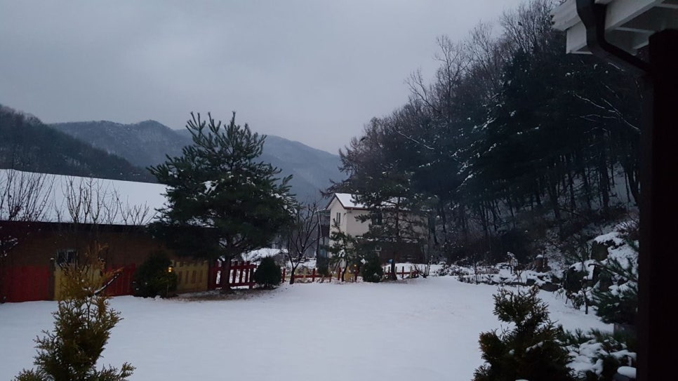 발톱무좀과 내성발톱31(&겨울사진) 관련 이미지 10