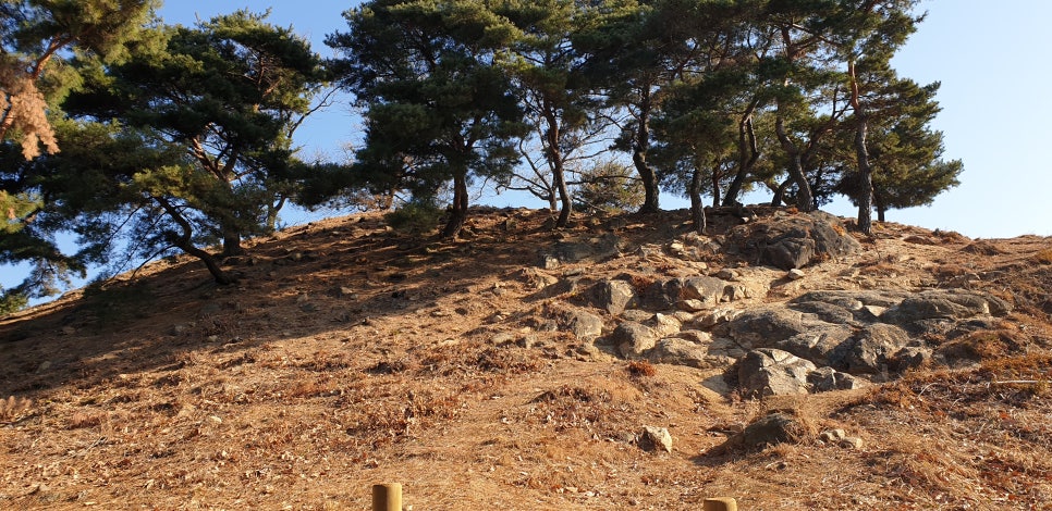 손발톱 흑색선 과 흑색종17(&아차산) 관련 이미지 26
