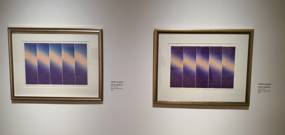 손발톱 흑색종과 흑색선37(&Museum SAN4) 관련 이미지 25