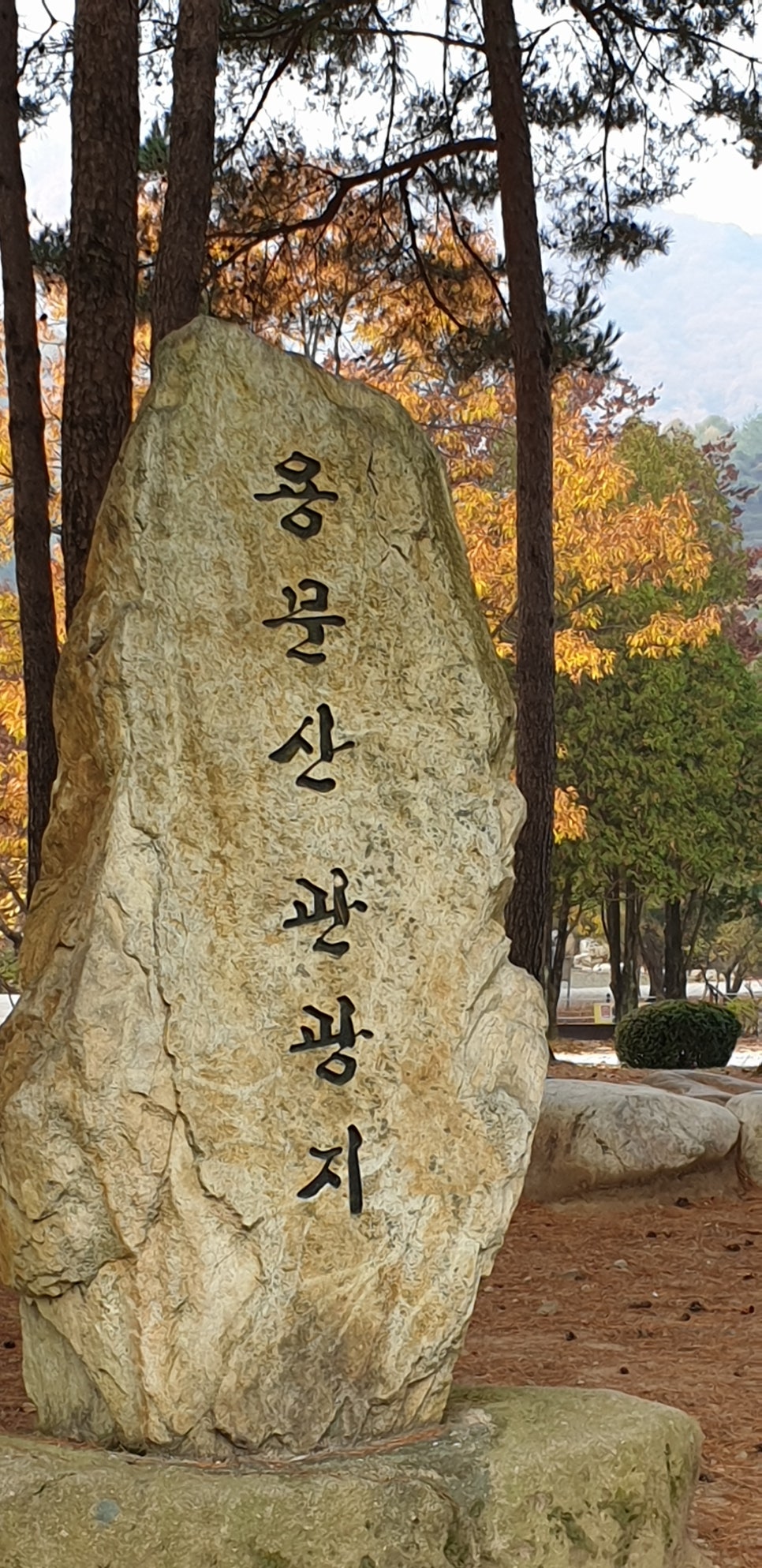 발톱무좀과 내향성발톱의 동반14(&용문사단풍) 관련 이미지 11