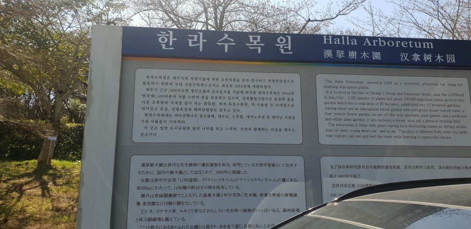 발톱무좀과 내향성 발톱의 동반3(&제주바다) 관련 이미지 15