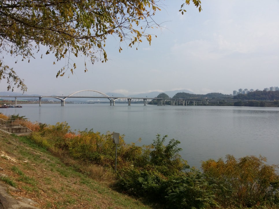 다양한 손발톱 질환들(횡구증,종구증) 관련 이미지 7