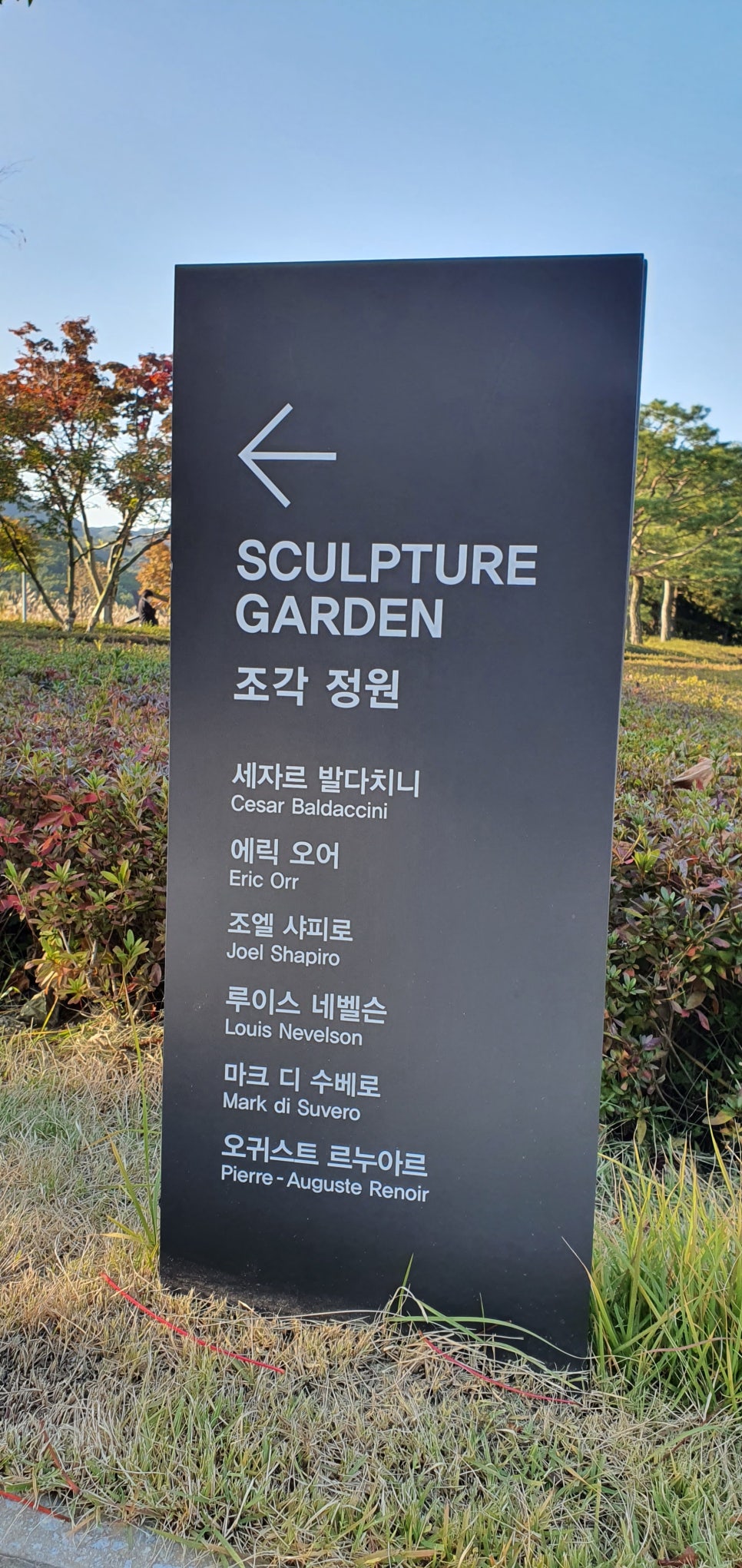 발톱무좀과 내성발톱35(&Museum SAN) 관련 이미지 13