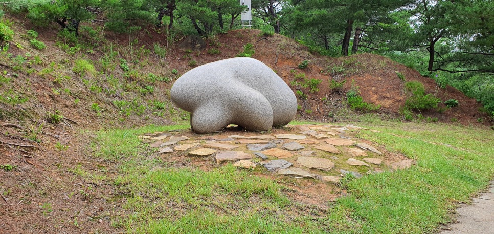 손발톱 흑색종과 흑색선30(&하슬라현대미술관2) 관련 이미지 19