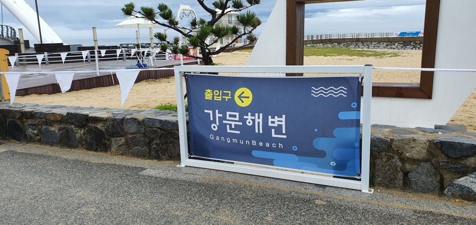발톱무좀과 내성발톱29(&강문해변) 관련 이미지 10