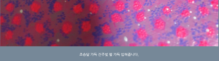 손발톱 흑색종과 흑색선26(&손그림송송2) 관련 이미지 31