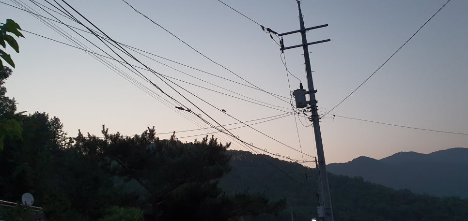 손발톱 흑색종과 흑색선25(&Bird house2) 관련 이미지 28
