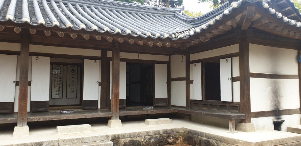 발톱무좀과 내향성 발톱의 동반 5 (&강릉오죽헌) 관련 이미지 20